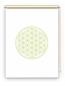 Preview: Rollo Blume des Lebens apfel blanco   - Sichtschutz Extartiqe